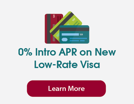 0% Intro APR on New Low-Rate Visa